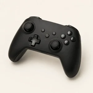 Oggetto smarrito da recuperare: Joystick
